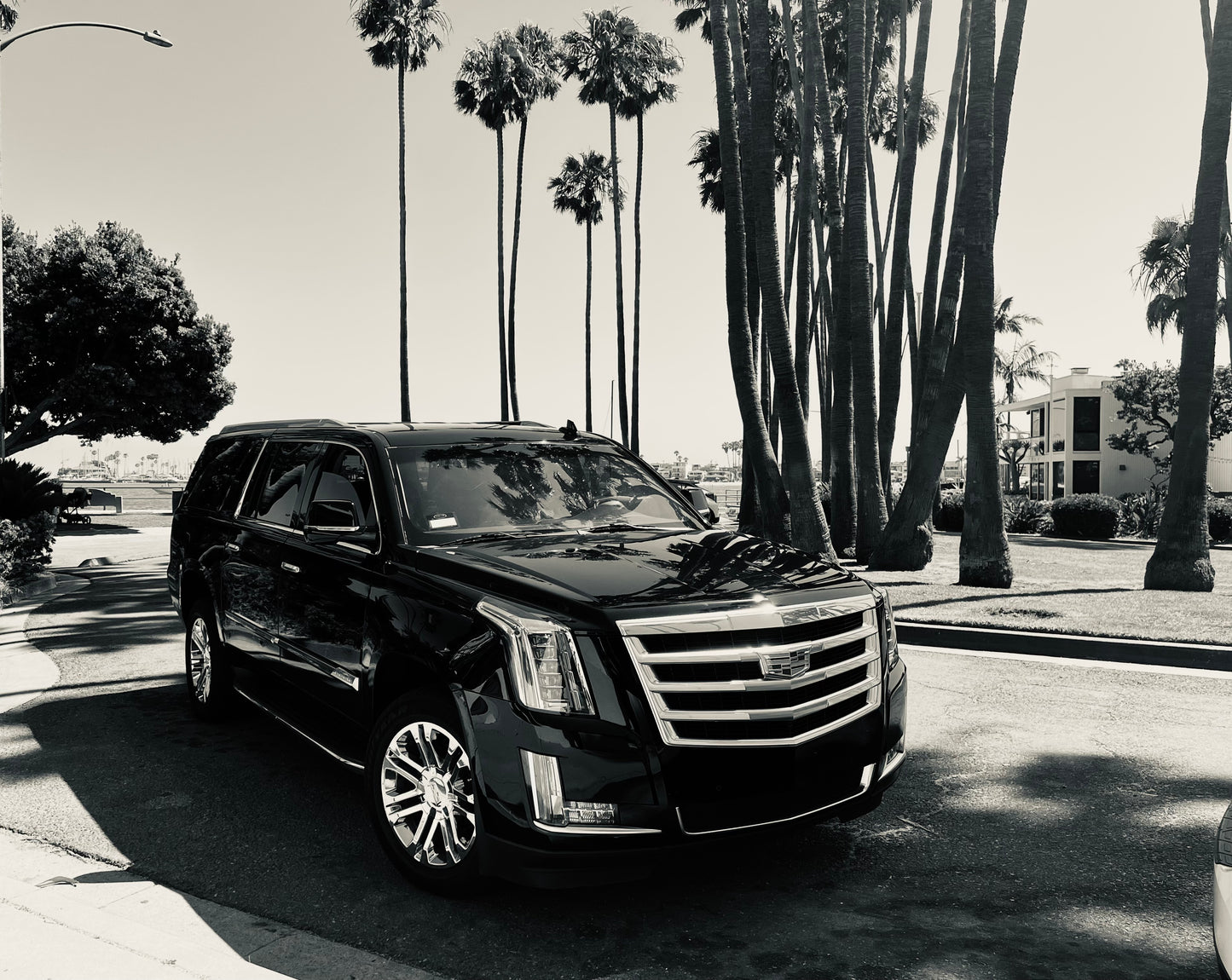 Private Transportation Service